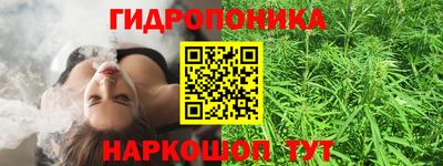 гашик Тара