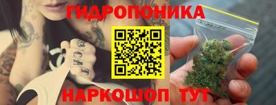 гашик Тара