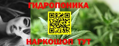 гидропоника Татарск